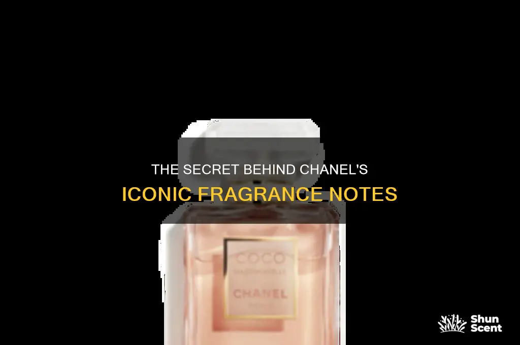 what is chanel perfume made of