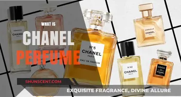 Chanel Perfume: A Timeless Fragrance Icon