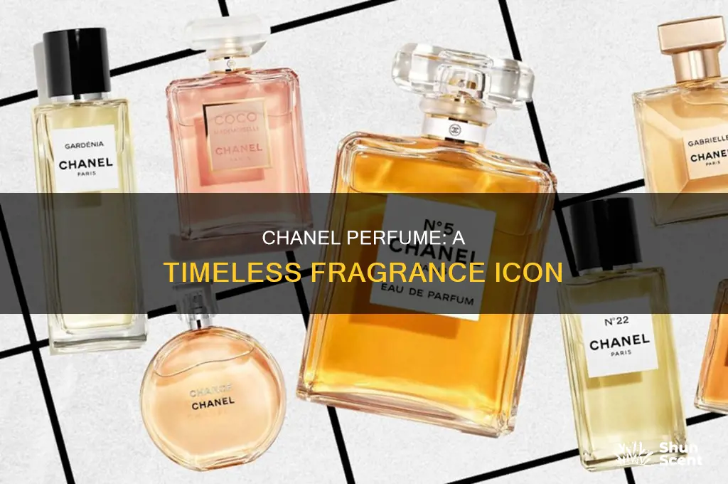 what is chanel perfume