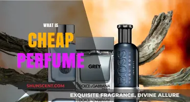 Affordable Scents: Cheap Perfume Options