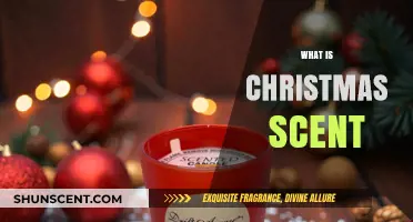 Unveiling the Magic: What Makes the Perfect Christmas Scent?