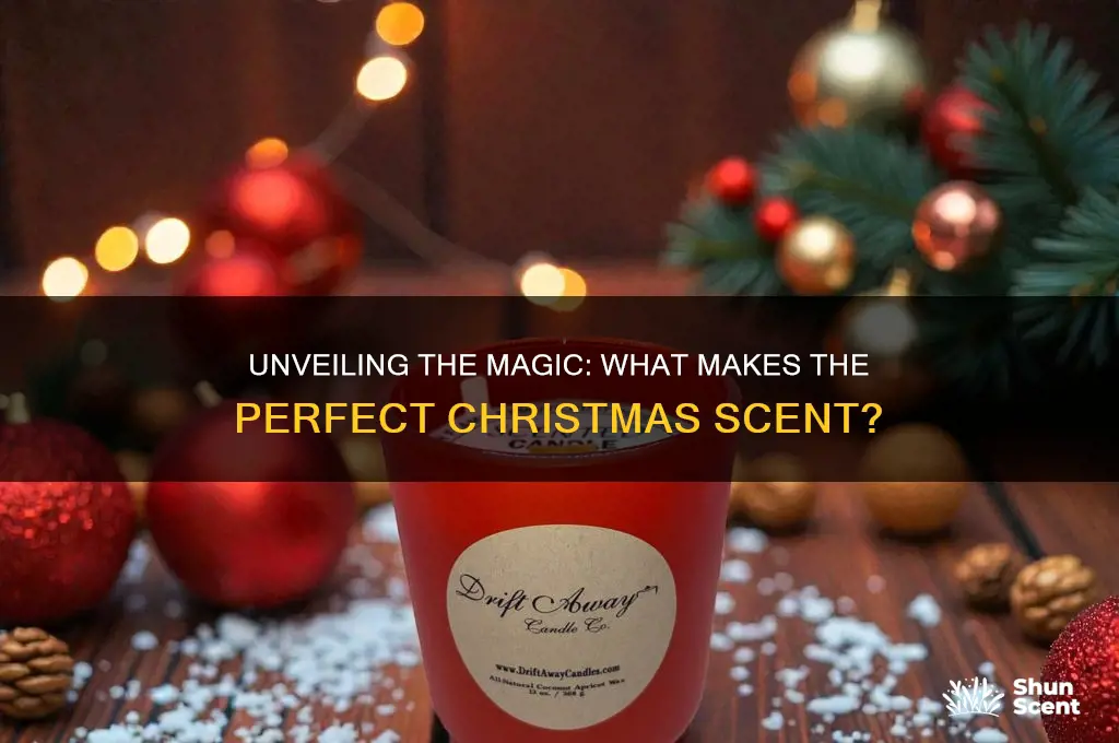 what is christmas scent