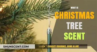 Unveiling the Festive Magic: What is Christmas Tree Scent?