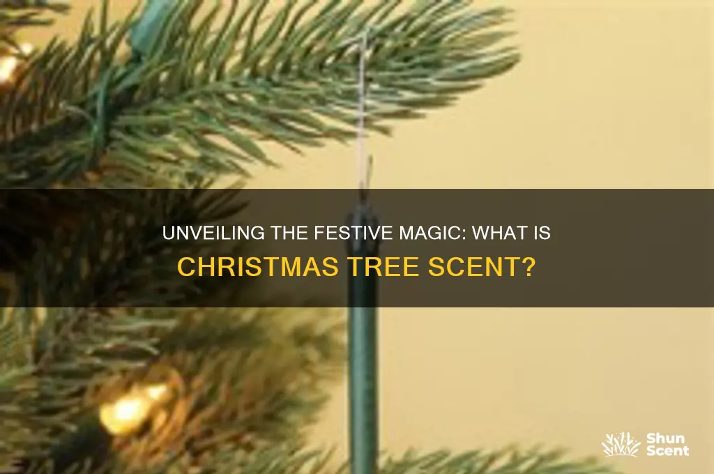 what is christmas tree scent