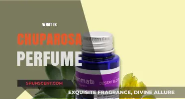 Explore the Chuparosa Perfume: A Fragrant Adventure