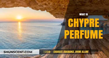 Explore Chypre Perfumes: The Oakmoss and Citrus Blend