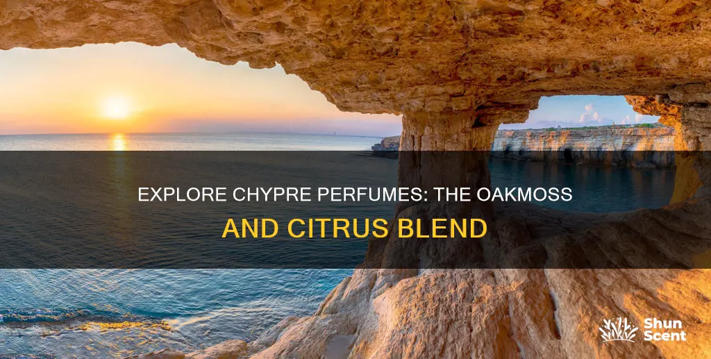 what is chypre perfume