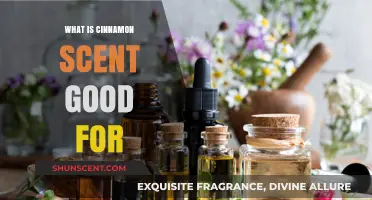 Cinnamon Scent Benefits: Enhancing Mood, Health, and Home Ambiance