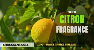 The Fresh, Citrusy Scent of Citron