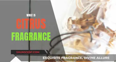 Citrus Scents: A Fresh, Zesty Fragrance Family