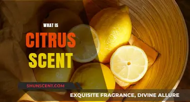 Exploring the Refreshing and Vibrant World of Citrus Scents