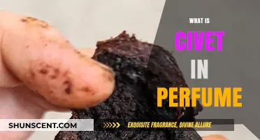 The Secret Behind Civet Perfumes