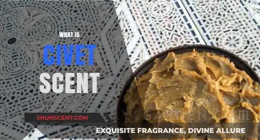 Unveiling the Mystique of Civet Scent: A Fragrant Journey