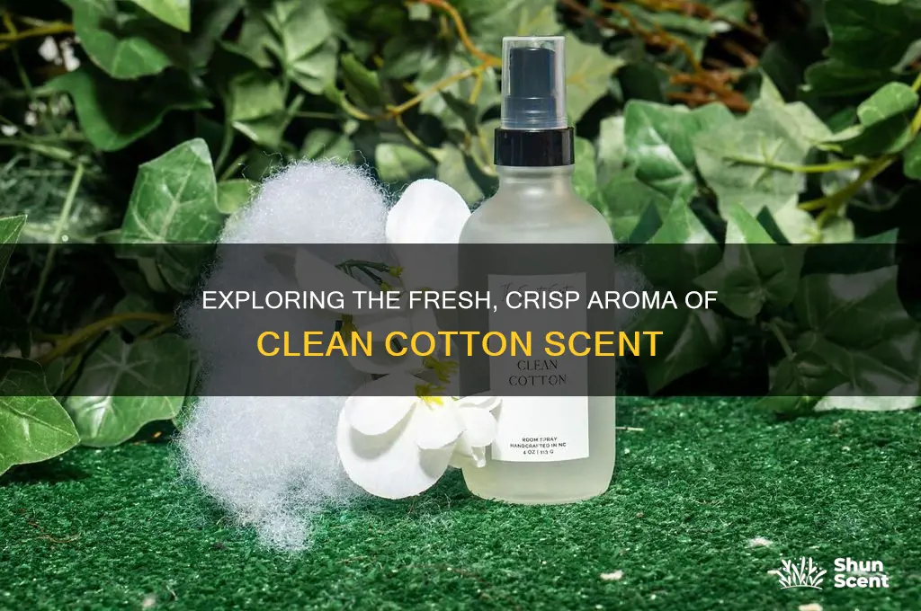 what is clean cotton scent