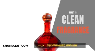 The Evolution of Clean Fragrance: A Guide