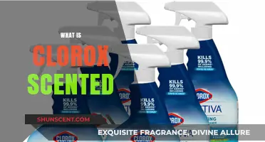 Exploring Clorox Scented Products: Freshness, Ingredients, and Uses