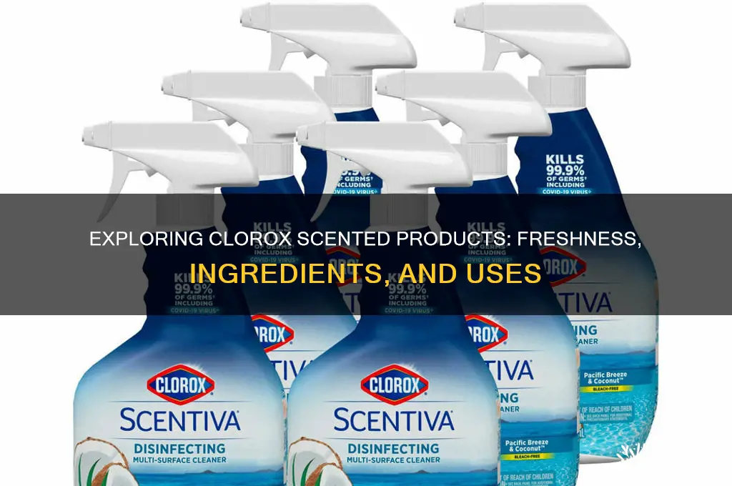 what is clorox scented