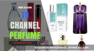 Channel Perfume: What's Close to the Original?