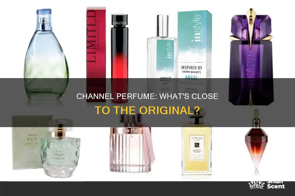 what is close to channel perfume