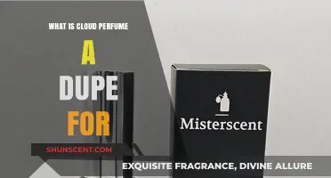 Cloud Perfume: A Dupe for the Expensive Brands?