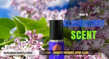Discover the Unique and Enchanting Aroma of Cloudberry Scent