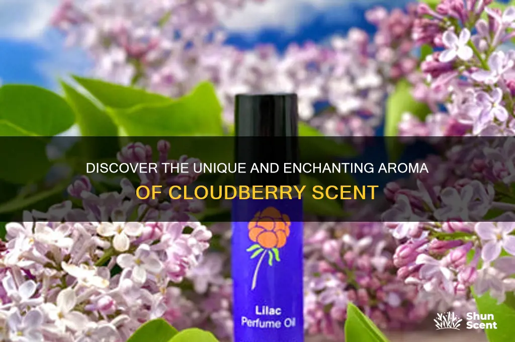 what is cloudberry scent