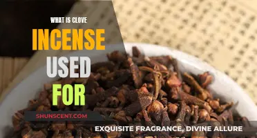 Clove Incense: Its Uses and Benefits
