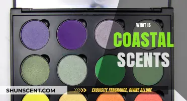 Discover Coastal Scents: A Guide to Affordable, High-Quality Makeup