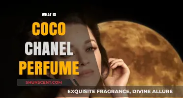 The Iconic Chanel No. 5: A Timeless Scent