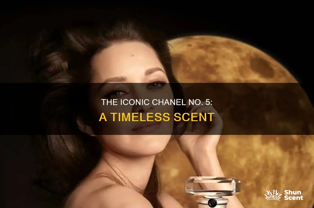 what is coco chanel perfume