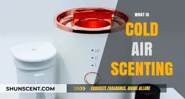 Exploring Cold Air Scenting: A Unique Olfactory Phenomenon Explained