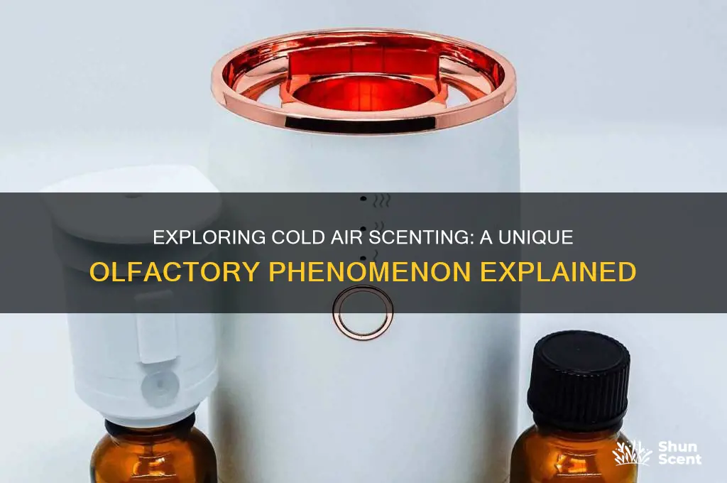 what is cold air scenting