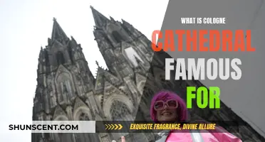 The Cologne Cathedral: A Medieval Marvel