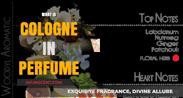Understanding the Notes of Cologne in Perfumes