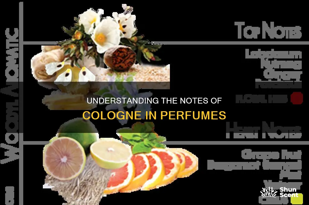 what is cologne in perfume