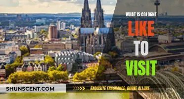 Exploring Cologne: A Visitor's Experience and Guide