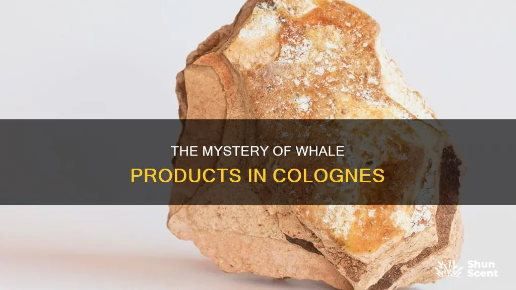 what is cologne made of whale