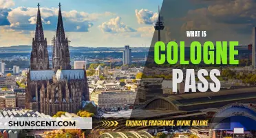 Exploring Cologne with the Cologne Pass