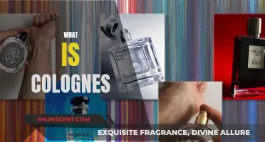 The Alluring World of Colognes: A Beginner's Guide