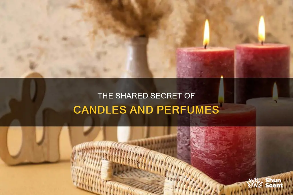what is common ingredient in candles and perfumes