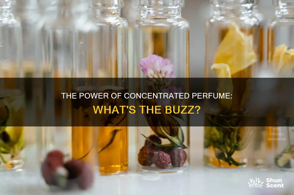what is concentrated perfume