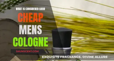 Affordable and Sensational: Men's Cologne on a Budget