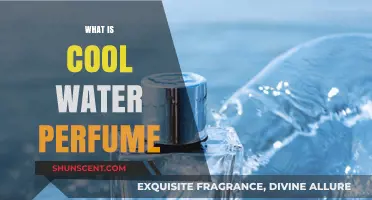 Cool Water Perfume: A Refreshing Scent for Men