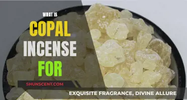 Copal Incense: Purifying and Uplifting Aromas