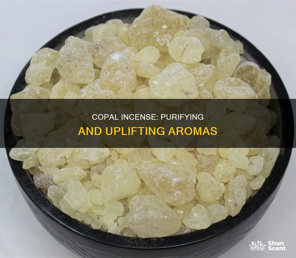 what is copal incense for