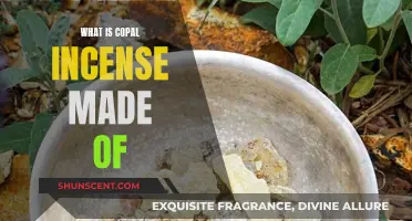 The Ancient Incense Copal: Its Resin and Tree Sources