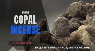 The Ancient Copal Incense: A Sacred Scent