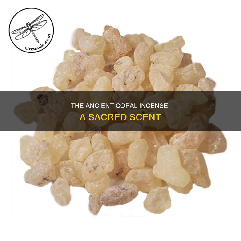 what is copal incense