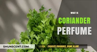 Coriander Perfume: A Fragrant and Fresh Scent