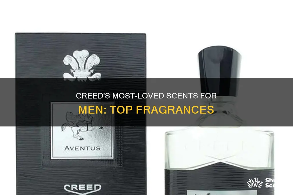 what is creed